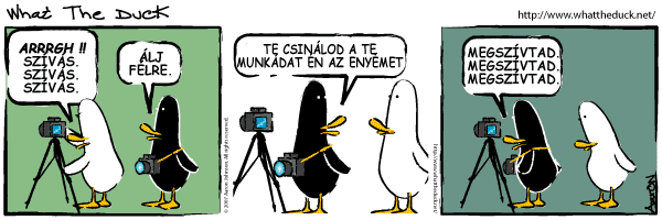 WTD: Munkamegosztás